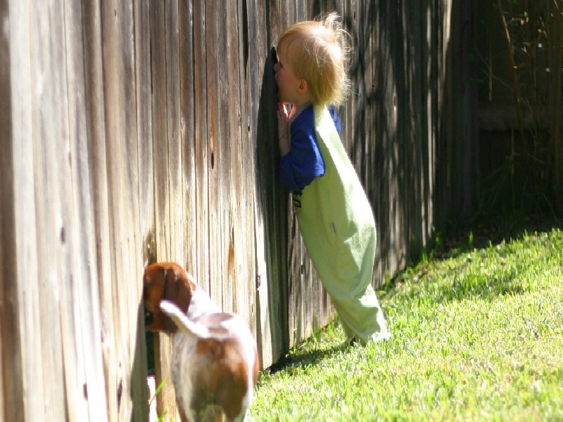 试管移植肚脐湿疹，尿沉渣试管直径